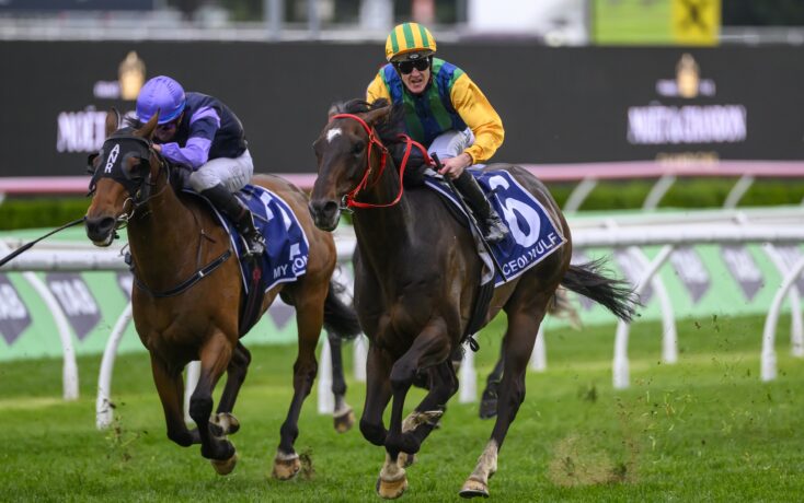 他们已经在 他们已经在